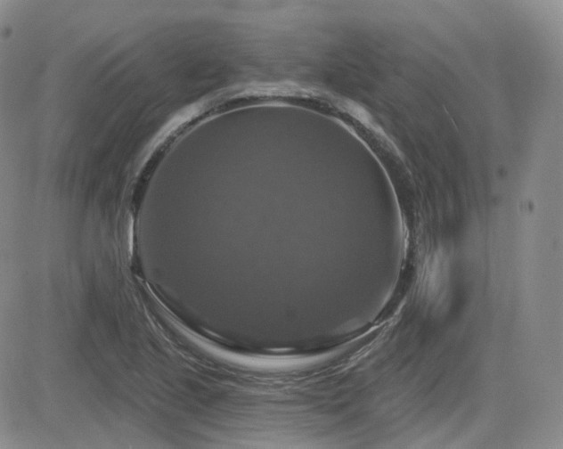 X0000084521221200702231126