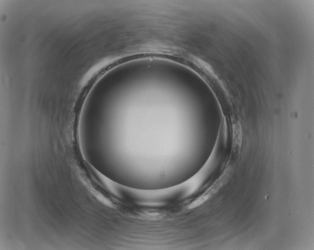 X0000084521222200702231126