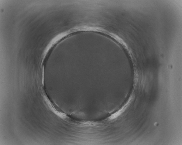 X0000084521223200702231126