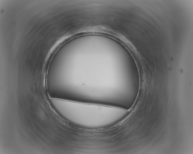 X0000084521224200702231126