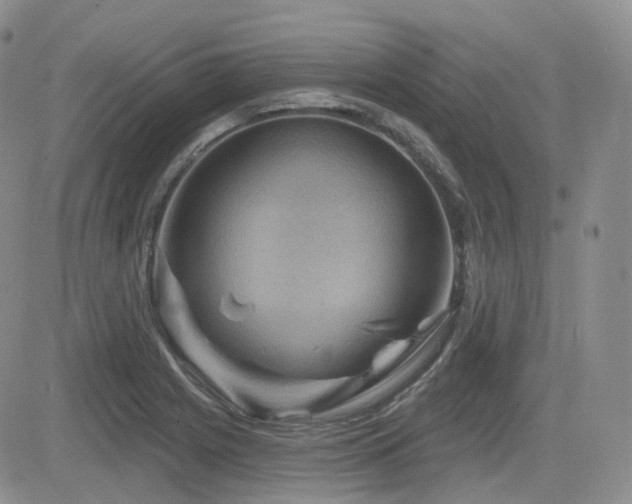 X0000084521225200702231126