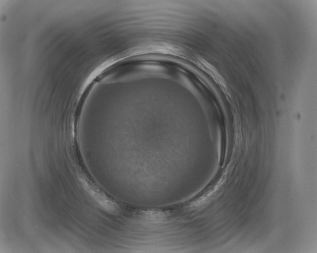 X0000084521226200702231126