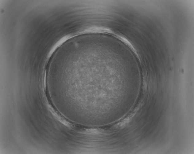 X0000084521227200702231126