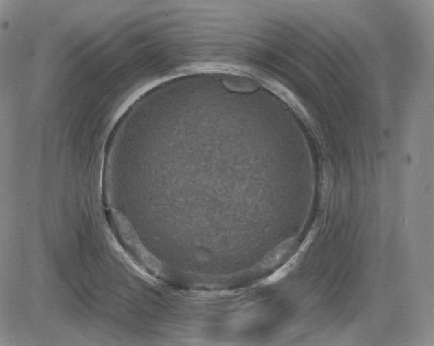 X0000084521228200702231126