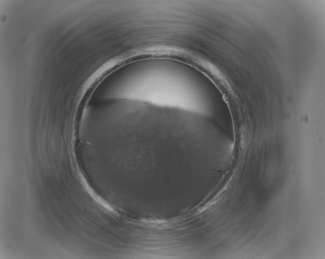 X0000084521229200702231126