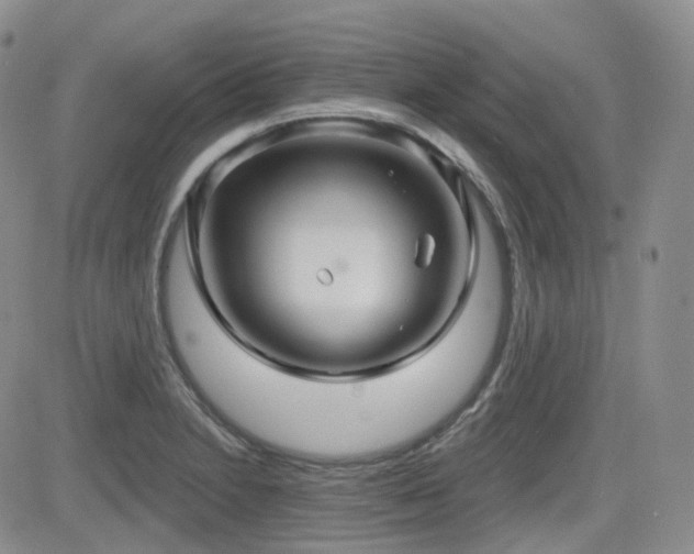 X0000084521230200702231126