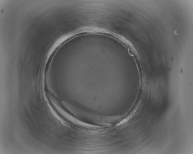 X0000084521231200702231126