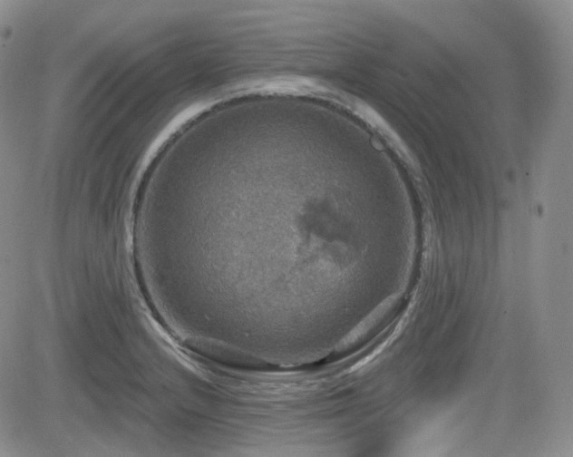 X0000084521232200702231126