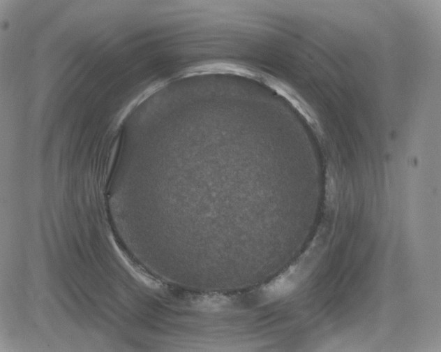 X0000084521233200702231126