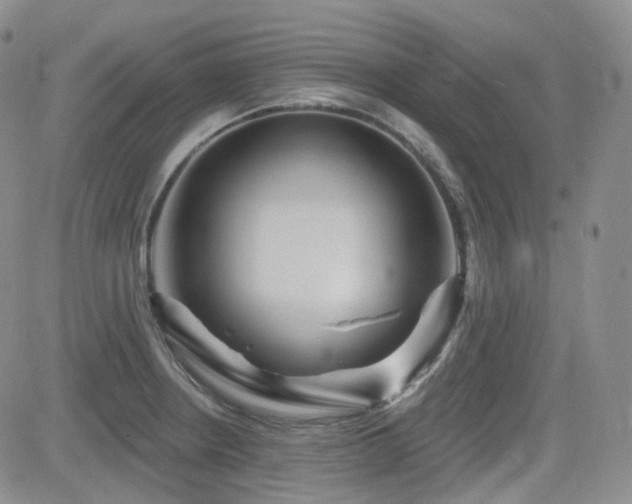 X0000084521234200702231126