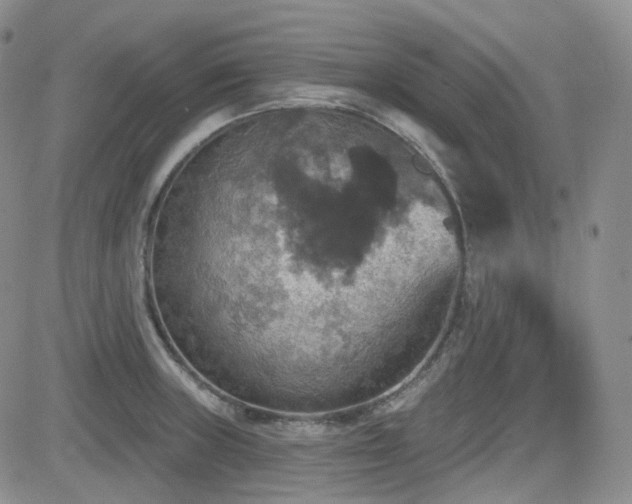 X0000084521235200702231126