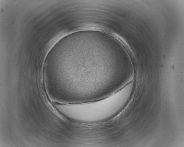 X0000084521236200702231126