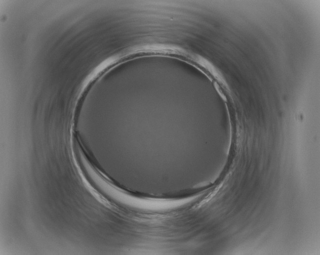 X0000084521237200702231126