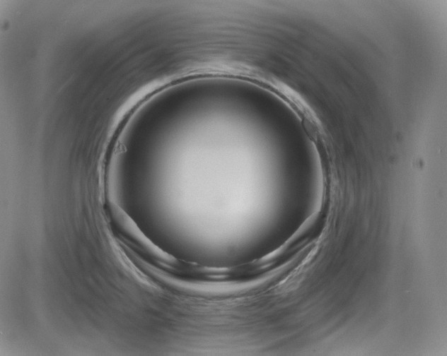 X0000084521238200702231126