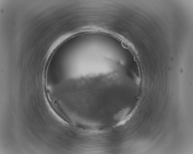 X0000084521239200702231126