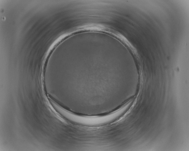 X0000084521240200702231126