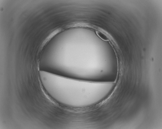 X0000084521241200702231126