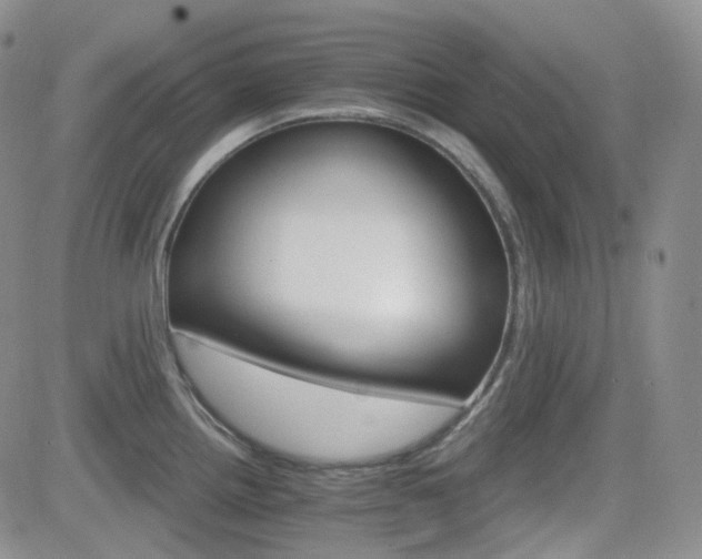 X0000084521242200702231126