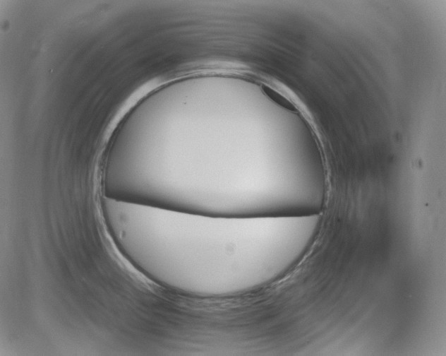 X0000084521243200702231126