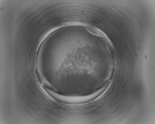 X0000084521244200702231126