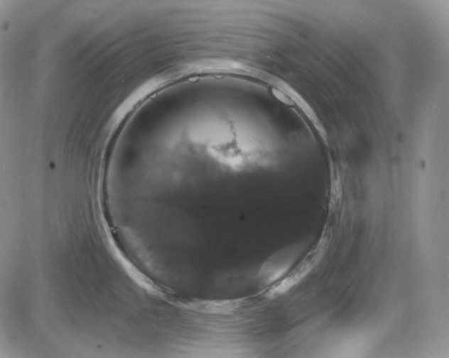 X0000084521245200702231126