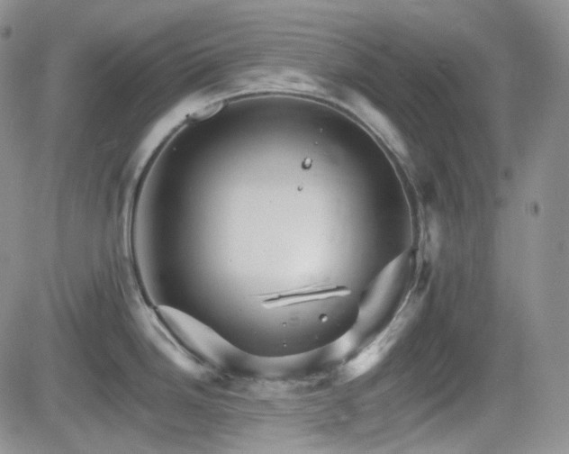 X0000084521246200702231126