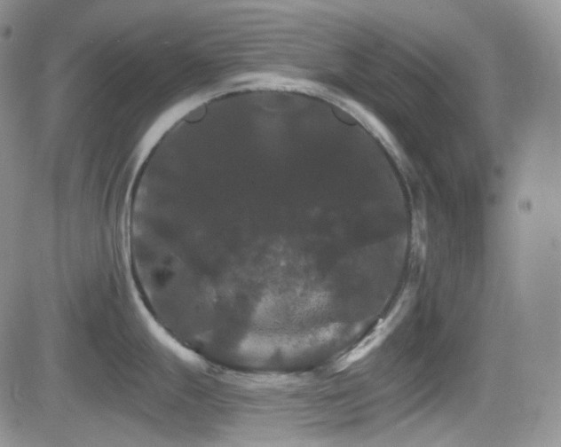 X0000084521247200702231126