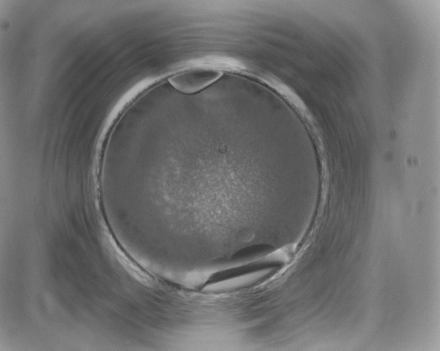 X0000084521248200702231126