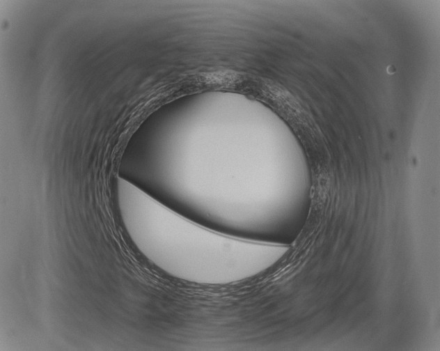 X0000084521249200702231126