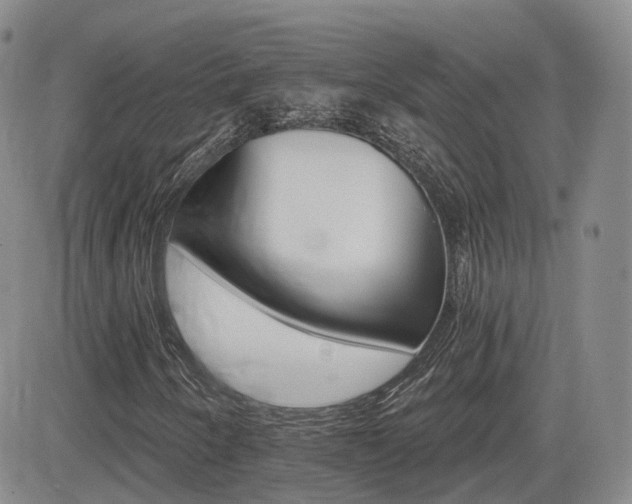 X0000084521250200702231126