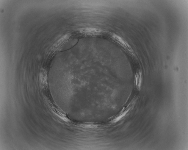 X0000084521251200702231126