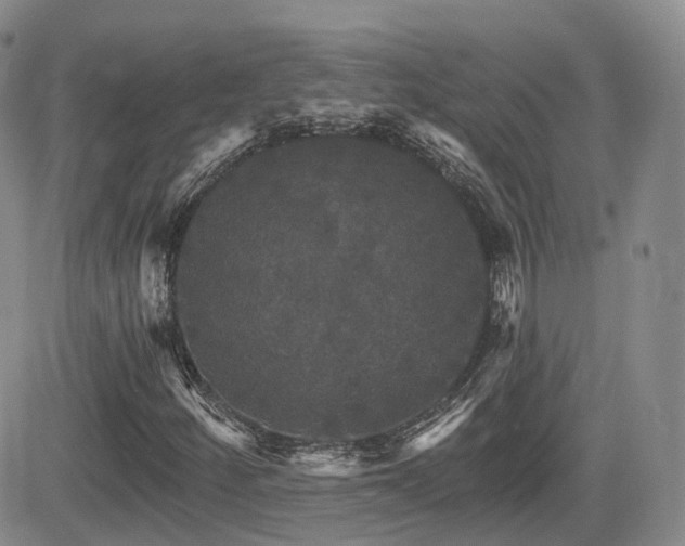 X0000084521252200702231125