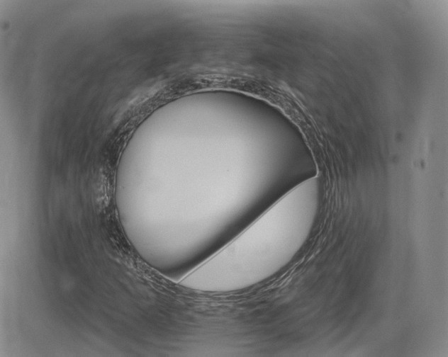 X0000084521253200702231125