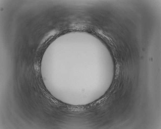 X0000084521254200702231125