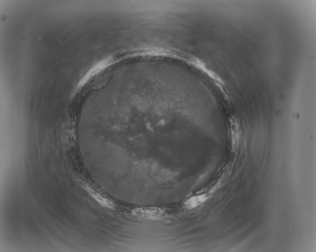 X0000084521255200702231125