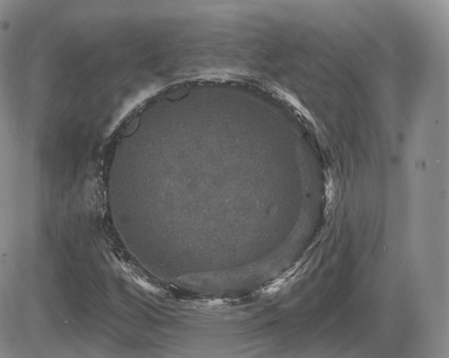 X0000084521256200702231125