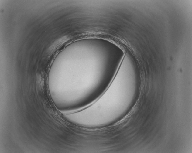 X0000084521257200702231125