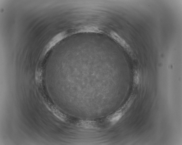 X0000084521258200702231125