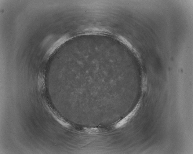 X0000084521259200702231125