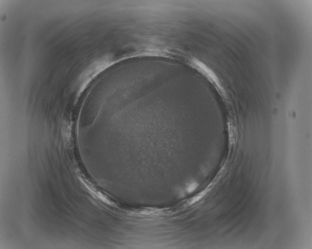 X0000084521260200702231125