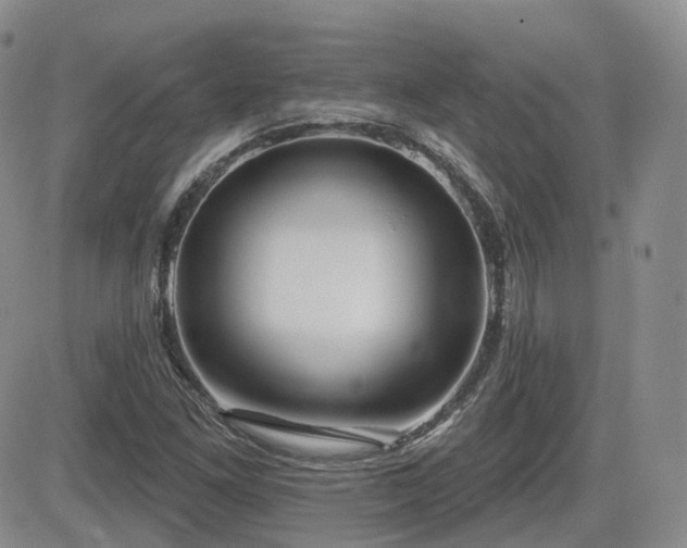 X0000084521261200702231125