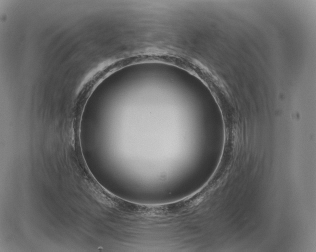 X0000084521262200702231125