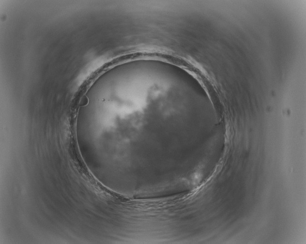 X0000084521263200702231125