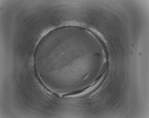 X0000084521264200702231125