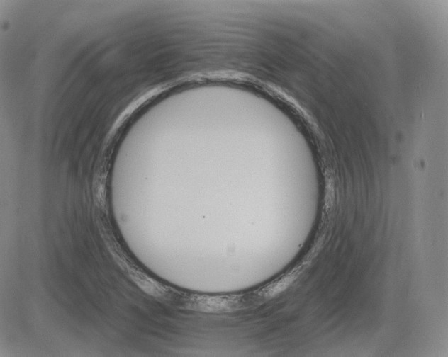 X0000084521266200702231125