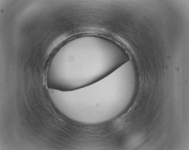 X0000084521267200702231125