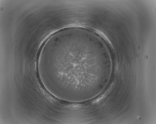 X0000084521268200702231125