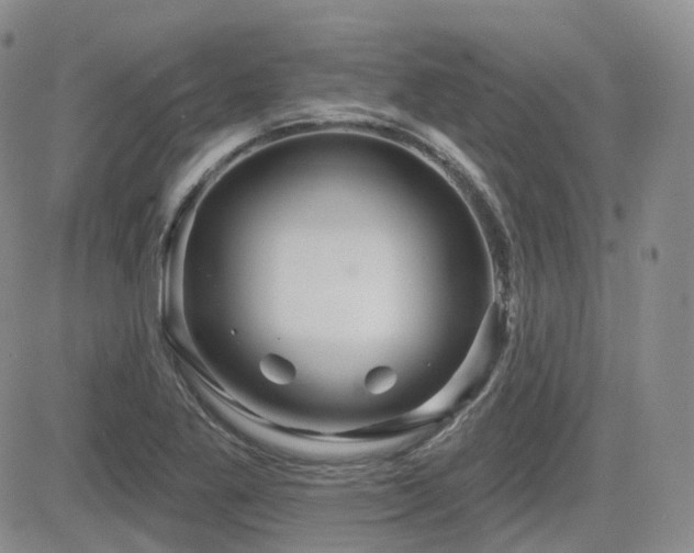 X0000084521269200702231125