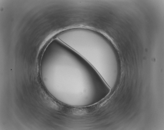 X0000084521270200702231125