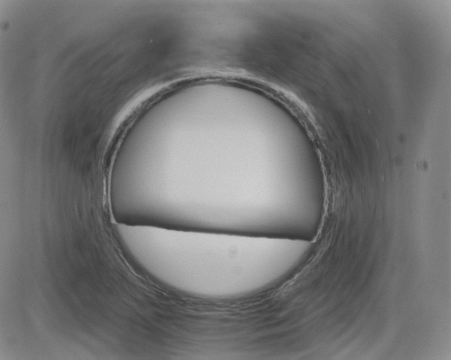 X0000084521271200702231125